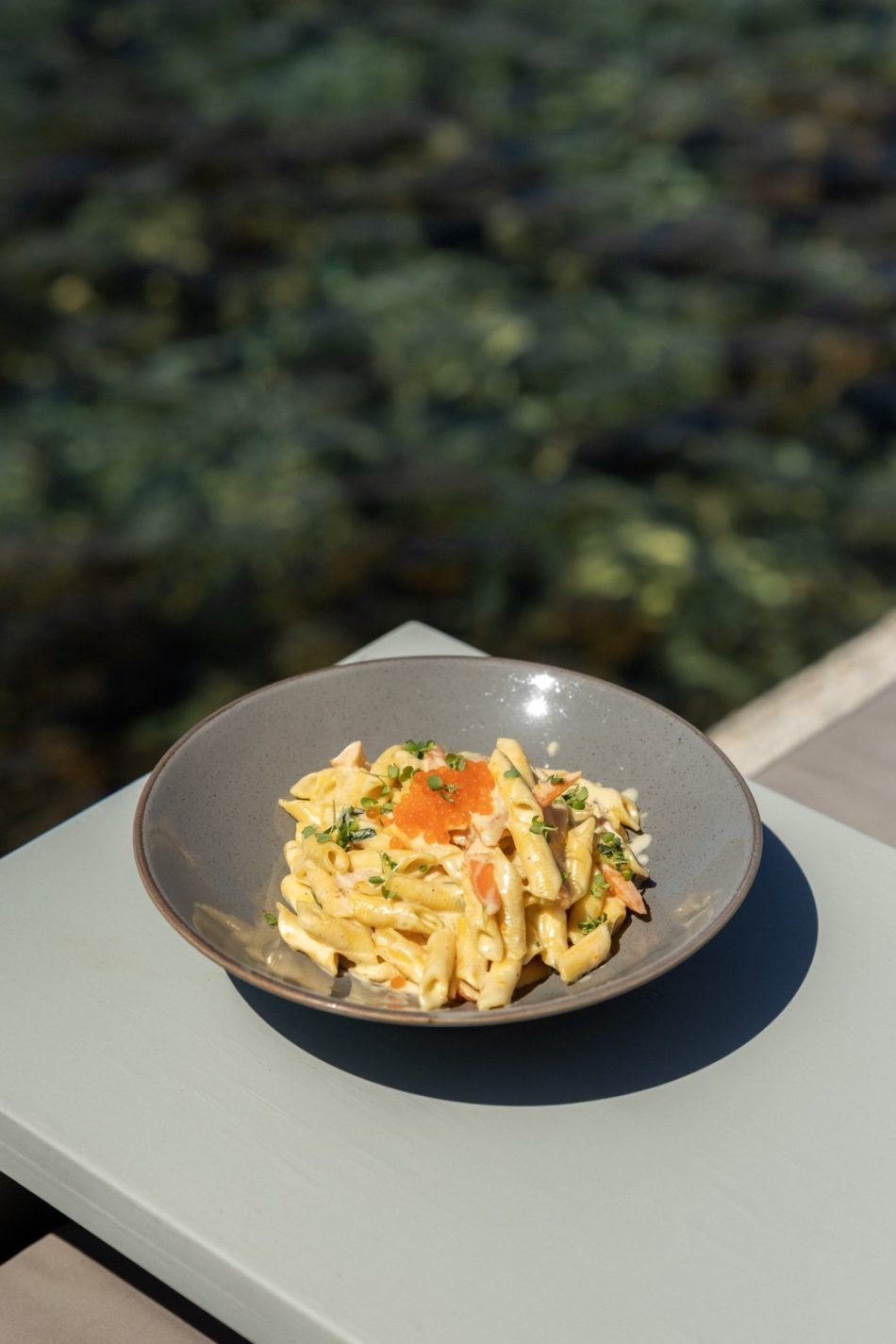 Lunch Dish